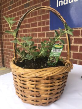 Garden Bed in a Basket